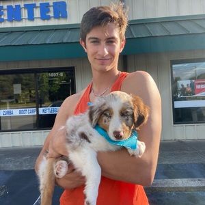 Meet your Posher, Dalton